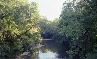 Canon Canonet 28 sample image 33