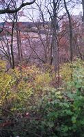 Sears 35|RF sample image 18